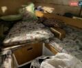 Белый Кортина 555, объемом двигателя 0 л и пробегом 3 тыс. км за 20500 $, фото 6 на Automoto.ua