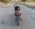 ЦПИ С-Элизе, объемом двигателя 49 л и пробегом 0 тыс. км за 242 $, фото 2 на Automoto.ua