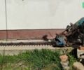 ДТЗ 244.4, об'ємом двигуна 0 л та пробігом 0 тис. км за 300 $, фото 3 на Automoto.ua