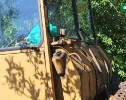 ДТЗ 75, объемом двигателя 0 л и пробегом 0 тыс. км за 3295 $, фото 1 на Automoto.ua