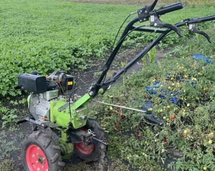 ДТЗ Інша, об'ємом двигуна 0.34 л та пробігом 200 тис. км за 389 $, фото 1 на Automoto.ua