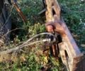 ДТЗ Другая, объемом двигателя 0 л и пробегом 0 тыс. км за 3000 $, фото 1 на Automoto.ua