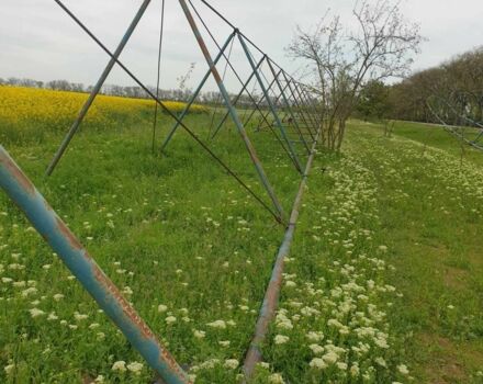 ДТЗ Другая, объемом двигателя 0 л и пробегом 0 тыс. км за 3000 $, фото 6 на Automoto.ua