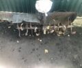 ДВ Інша, об'ємом двигуна 0 л та пробігом 47 тис. км за 2000 $, фото 5 на Automoto.ua