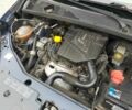 Синий Дачия Другая, объемом двигателя 1.6 л и пробегом 170 тыс. км за 8399 $, фото 16 на Automoto.ua