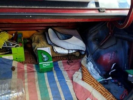 Красный Дачия Логан, объемом двигателя 1.4 л и пробегом 230 тыс. км за 3000 $, фото 1 на Automoto.ua