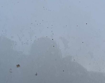 Белый Дачия Сандеро, объемом двигателя 1.15 л и пробегом 190 тыс. км за 3700 $, фото 13 на Automoto.ua