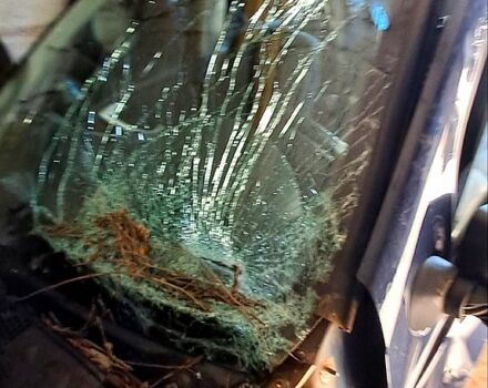 Синий Дачия Сандеро, объемом двигателя 1.2 л и пробегом 108 тыс. км за 1500 $, фото 2 на Automoto.ua