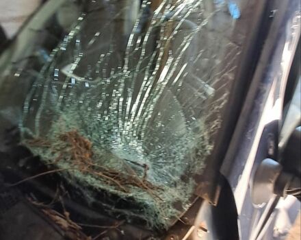 Синій Дачія Sandero, об'ємом двигуна 1 л та пробігом 108 тис. км за 1042 $, фото 2 на Automoto.ua