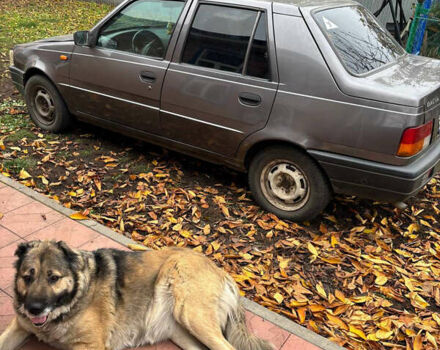 Черный Дачия Супер Нова, объемом двигателя 1.4 л и пробегом 270 тыс. км за 1660 $, фото 1 на Automoto.ua