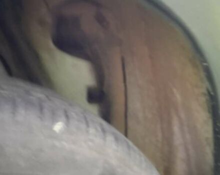 Белый Дачия Duster, объемом двигателя 1.6 л и пробегом 162 тыс. км за 7800 $, фото 34 на Automoto.ua