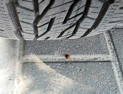 Білий Дачія Duster, об'ємом двигуна 1.6 л та пробігом 211 тис. км за 9150 $, фото 1 на Automoto.ua