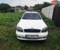 Белый Дэу Ланос, объемом двигателя 1.6 л и пробегом 235 тыс. км за 3000 $, фото 1 на Automoto.ua