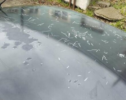 Черный Дэу Ланос, объемом двигателя 1.5 л и пробегом 244 тыс. км за 1650 $, фото 7 на Automoto.ua