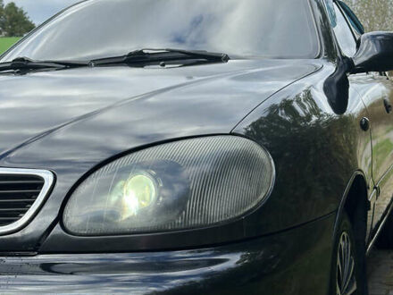 Дэу Ланос 2009 в Львове на Automoto.ua Черный Дэу Ланос, объемом двигателя 1.6 л и пробегом 177 тыс. км за 2799 $, фото 1 на Automoto.ua