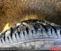 Дэу Ланос 2008 в Тростянец на Automoto.ua Дэу Ланос, объемом двигателя 15 л и пробегом 330 тыс. км за 2450 $, фото 5 на Automoto.ua