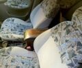 Синий Дэу Ланос, объемом двигателя 1.5 л и пробегом 247 тыс. км за 2200 $, фото 5 на Automoto.ua