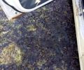 Белый Дэу Матиз, объемом двигателя 0.8 л и пробегом 14400 тыс. км за 2200 $, фото 1 на Automoto.ua