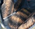 Бежевый Дэу Матиз, объемом двигателя 0.8 л и пробегом 56 тыс. км за 2600 $, фото 13 на Automoto.ua