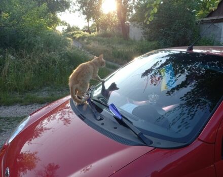 Червоний Деу Матіз, об'ємом двигуна 0.8 л та пробігом 187 тис. км за 1890 $, фото 14 на Automoto.ua