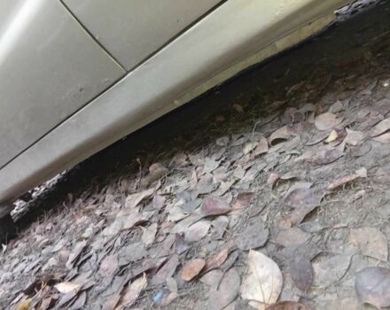 Жовтий Деу Матіз, об'ємом двигуна 0.8 л та пробігом 89 тис. км за 3200 $, фото 10 на Automoto.ua