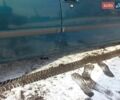 Дэу Нексия, объемом двигателя 1.5 л и пробегом 180 тыс. км за 1400 $, фото 18 на Automoto.ua