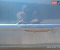 Синій Деу Нексія, об'ємом двигуна 1.5 л та пробігом 135 тис. км за 2600 $, фото 5 на Automoto.ua