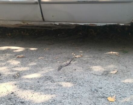 Серый Дэу Нубира, объемом двигателя 2 л и пробегом 290 тыс. км за 900 $, фото 8 на Automoto.ua