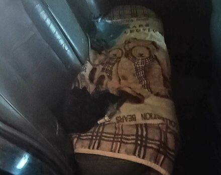 Черный Дэу Принц, объемом двигателя 2 л и пробегом 384 тыс. км за 1300 $, фото 6 на Automoto.ua