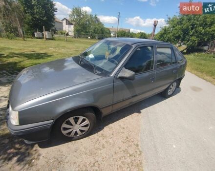 Сірий Деу Рейсер, об'ємом двигуна 1.5 л та пробігом 422 тис. км за 1300 $, фото 8 на Automoto.ua