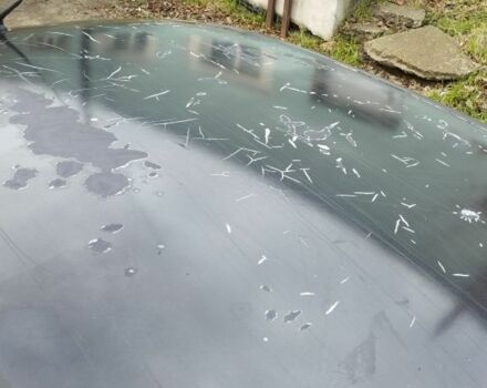 Черный Дэу Сенс, объемом двигателя 1.5 л и пробегом 244 тыс. км за 1650 $, фото 7 на Automoto.ua