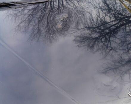 Черный Дэу Сенс, объемом двигателя 1.5 л и пробегом 258 тыс. км за 2300 $, фото 7 на Automoto.ua