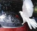 Дэу Сенс 2005 в Казатине на Automoto.ua Красный Дэу Сенс, объемом двигателя 1.3 л и пробегом 218 тыс. км за 1800 $, фото 13 на Automoto.ua