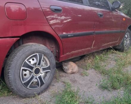 Красный Дэу Сенс, объемом двигателя 0 л и пробегом 190 тыс. км за 1500 $, фото 3 на Automoto.ua