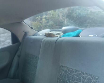 Серый Дэу Сенс, объемом двигателя 1.3 л и пробегом 300 тыс. км за 1350 $, фото 5 на Automoto.ua