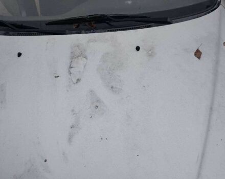 Серый Дэу Сенс, объемом двигателя 1.5 л и пробегом 147 тыс. км за 1000 $, фото 5 на Automoto.ua