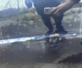Деу Сенс 2006 у Кривому Розі на Automoto.ua Синій Деу Сенс, об'ємом двигуна 1.3 л та пробігом 180 тис. км за 2300 $, фото 5 на Automoto.ua