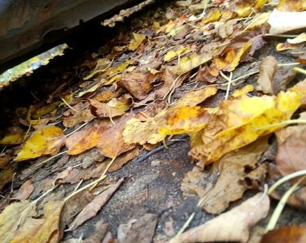 Синий Дэу Сенс, объемом двигателя 1.3 л и пробегом 0 тыс. км за 1600 $, фото 8 на Automoto.ua