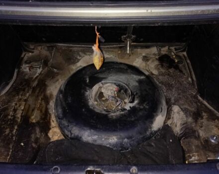 Зелений Деу Сенс, об'ємом двигуна 1.6 л та пробігом 230 тис. км за 1600 $, фото 9 на Automoto.ua