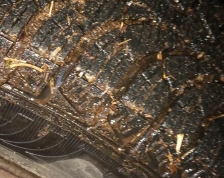 Зелений Деу Сенс, об'ємом двигуна 0 л та пробігом 138 тис. км за 1450 $, фото 5 на Automoto.ua