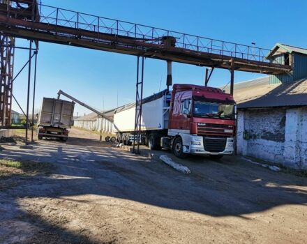 Даф 105, об'ємом двигуна 0 л та пробігом 0 тис. км за 25000 $, фото 5 на Automoto.ua