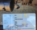 Даф 95 XF 380, об'ємом двигуна 12.58 л та пробігом 0 тис. км за 40000 $, фото 3 на Automoto.ua