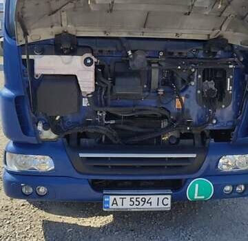 Синий Даф АЕ, объемом двигателя 4.46 л и пробегом 245 тыс. км за 29500 $, фото 16 на Automoto.ua