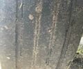 Белый Даф СФ, объемом двигателя 9.19 л и пробегом 732 тыс. км за 9200 $, фото 22 на Automoto.ua
