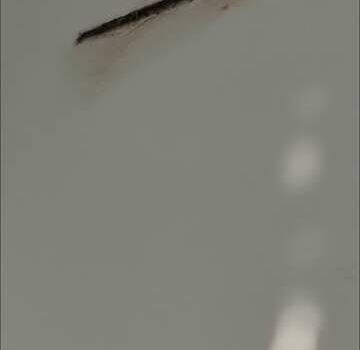 Белый Даф ФА, объемом двигателя 6.69 л и пробегом 989 тыс. км за 15900 $, фото 6 на Automoto.ua