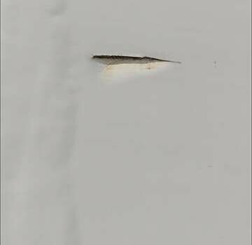 Белый Даф ФА, объемом двигателя 6.69 л и пробегом 989 тыс. км за 15900 $, фото 25 на Automoto.ua