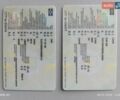 Белый Даф ФТ, объемом двигателя 12.9 л и пробегом 1 тыс. км за 41500 $, фото 1 на Automoto.ua