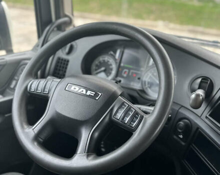 Білий Даф XF, об'ємом двигуна 12.9 л та пробігом 701 тис. км за 22800 $, фото 24 на Automoto.ua