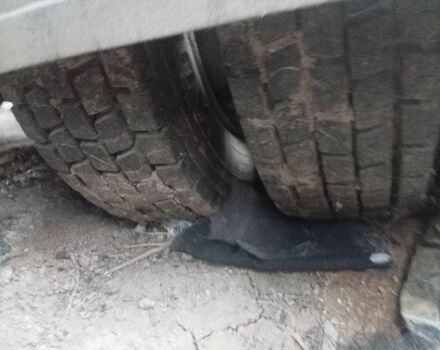 Даф Другая, объемом двигателя 0 л и пробегом 0 тыс. км за 5500 $, фото 4 на Automoto.ua