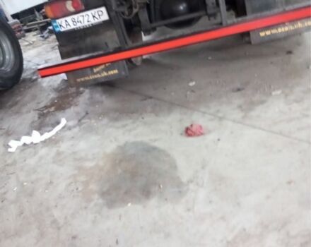 Даф Другая, об'ємом двигуна 0 л та пробігом 0 тис. км за 37000 $, фото 5 на Automoto.ua